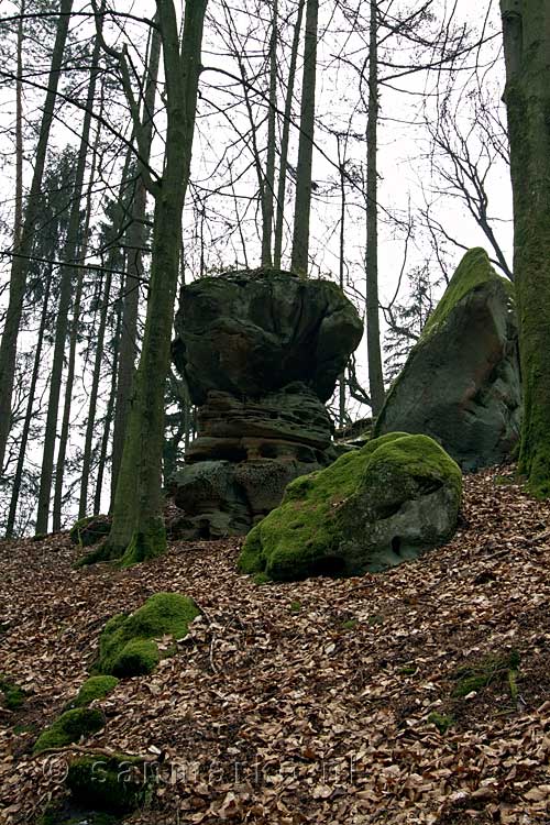 Eén van de mooie stenen tijdens de wandeling door de Teufelsschlucht bij Irrel