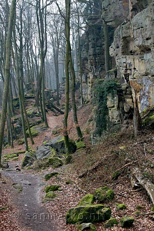 Het wandelpad langs de rotswand bij de Teufelsschlucht bij Irrel in de Eifel in Duitsland