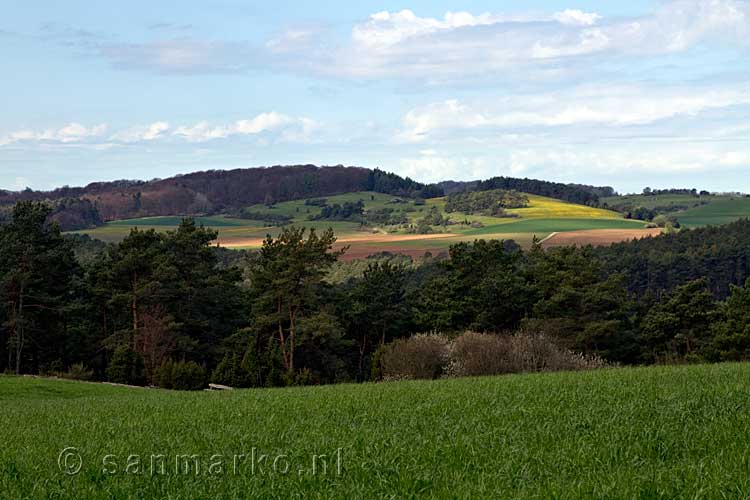 De natuur bij het Lampertstal in de Eifel in Duitsland