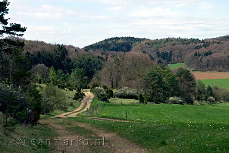 De mooie natuur bij het Lampertstal bij Dollendorf in de Eifel