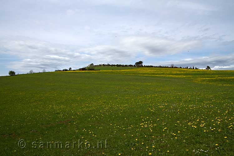 Op weg naar het uitzichtpunt over de Eifel bij Alendorf