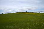 Op weg naar het uitzichtpunt over de Eifel bij Alendorf