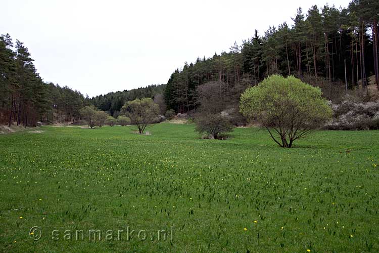 Het Lampertstal bij Dollendorf in de Eifel in Duitsland