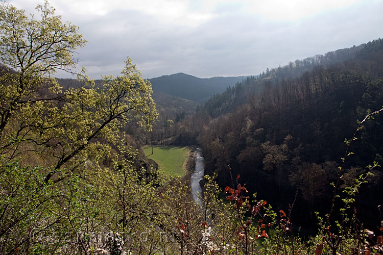 Het dal van Burg Elz bij Wierschem in Duitsland