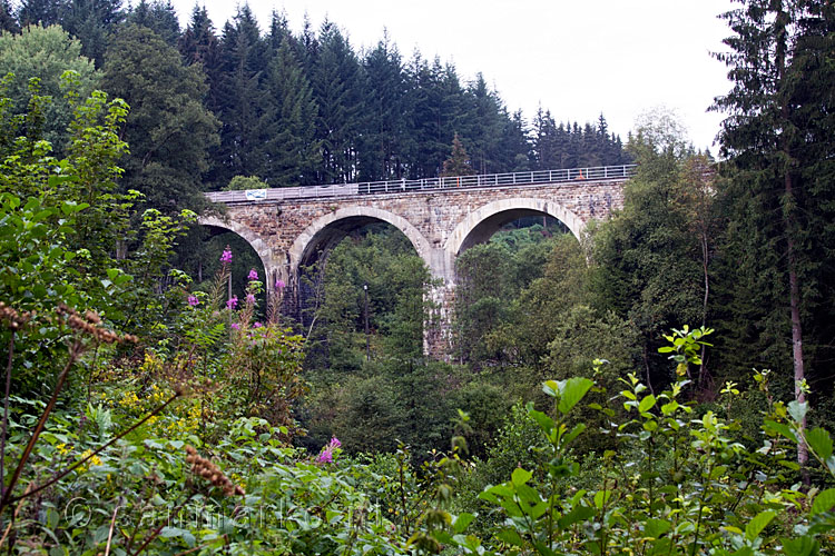 Een viaduct over de Rur vlakbij Monschau in de Eifel