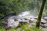 Regen en warmte geven mist boven de Rur tijdens onze wandeling in de Eifel