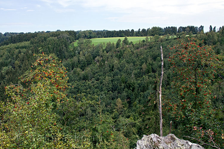 Een van de uitzichten tijdens de wandeling over de Jahrhundertweg bij Monschau in de Eifel