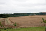 Het Nette-Schieferpfad begint boven Trimbs langs de graanvelden