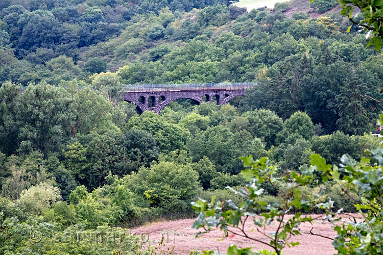 Een mooi uitzicht over het viaduct bij Trimbs in de Eifel