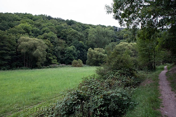 Uitzicht over het wandelpad en het Nettetal tijdens de wandeling