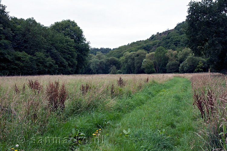 Lopen door het Nettetal in de Eifel in Duitsland