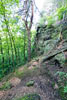 De mooie natuur langs het wandelpad bij Nideggen in de Eifel