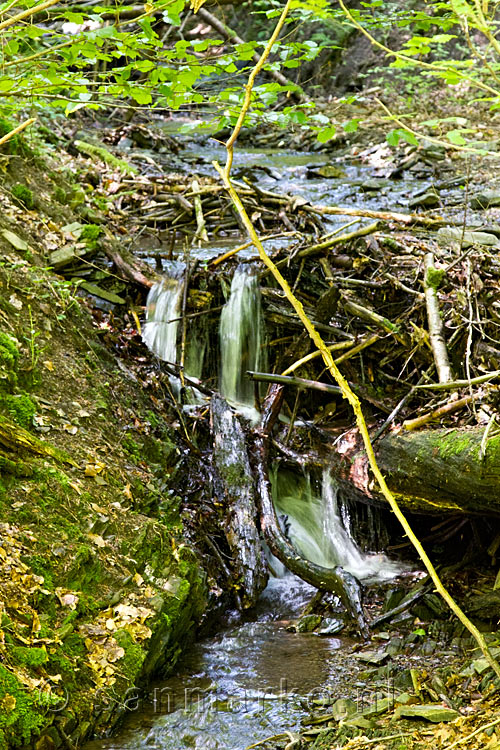 Een leuke kleine waterval langs het wandelpad bij Bergstein in de Eifel