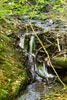 Een leuke kleine waterval langs het wandelpad bij Bergstein in de Eifel