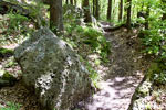 Het wandelpad tussen Nideggen en Rath in de Eifel in Duitsland