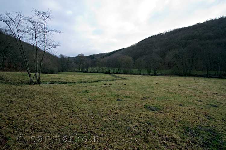 Het uitzicht over het dal van de Nohnerbach bij Nohn