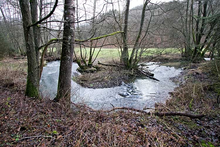 De Nohnerbach kronkelt door het landschap in de Eifel