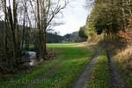 Het wandelpad langs de Nohnerbach bij Nohn in de Eifel in Duitsland