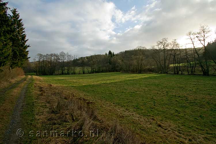 Het uitzicht tijdens onze rondwandeling langs de Nohnerbach en de Trierbach