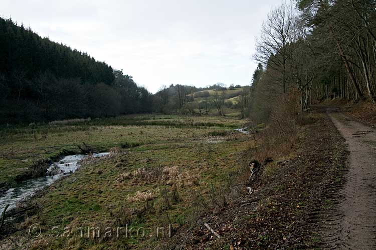 De kronkelende Nohnerbach in het landschap van de Eifel bij Nohn