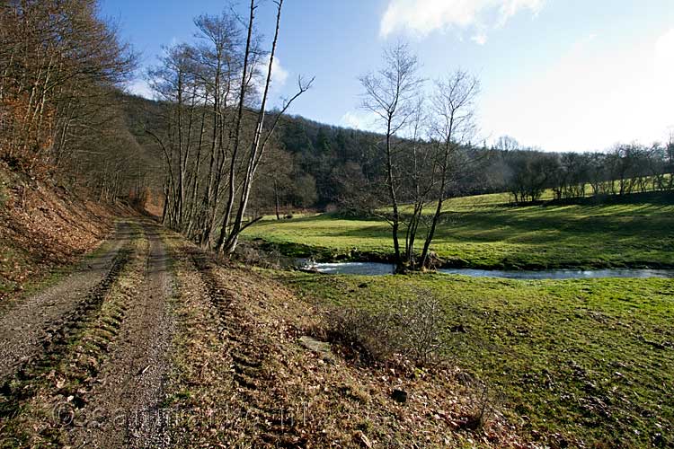 We wandelen verder langs de Nohnerbach bij Nohn in de Eifel in Duitsland