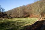 Het landschap langs de Nohnerbach vlakbij Adenau in de Eifel in Duitsland