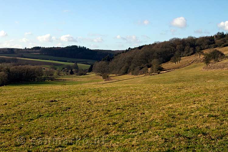 Een mooi uitzicht over de Eifel bij Nohn tijdens onze wandeling