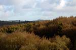 Uitzicht over de Eifel en heel in de verte een van de vele kastelen in de Eifel in Duitsland