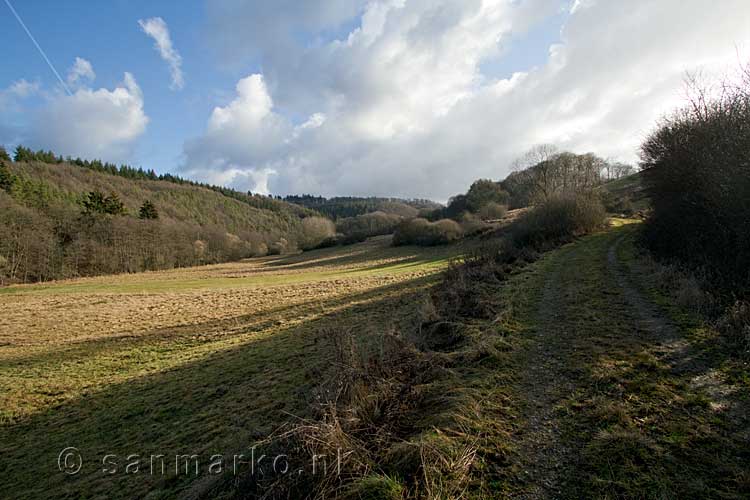 De omgeving van het wandelpad langs de Trierbach in de Eifel in Duitsland