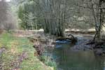 De Trierbach bij Nohn in de Eifel in Duitsland