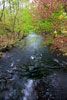 De Wupper bij Dahlhausen in het Bergische Land