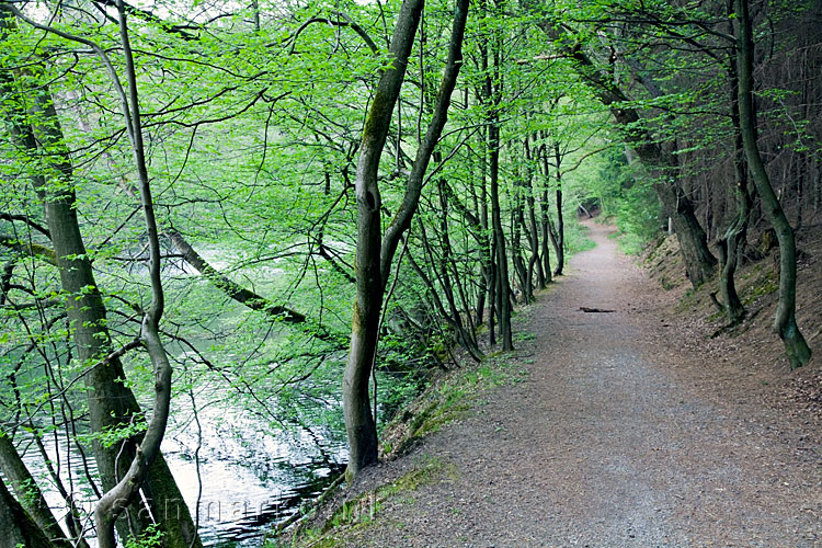 Wandelpad langs de Wupper tussen Dahlhausen en Wilhelmstal