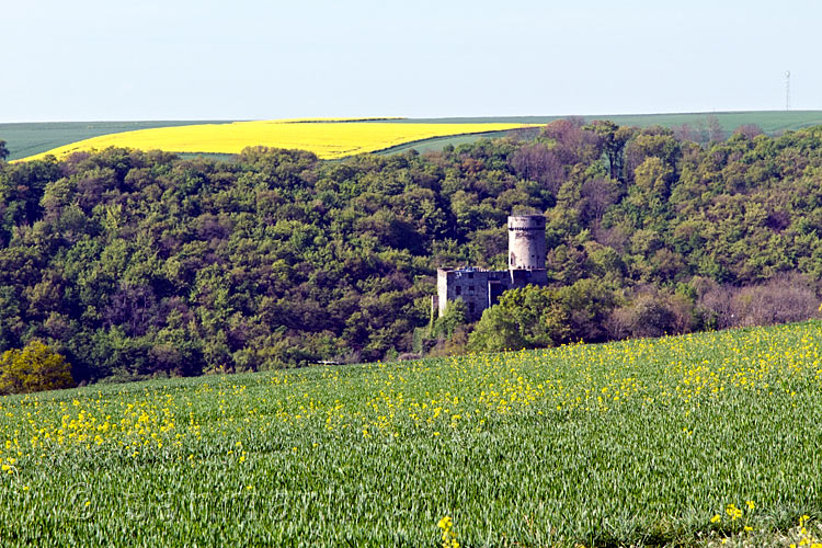 De Pyrmonter Burg voor de gele koolzaad velden in de Moezel in Duitsland