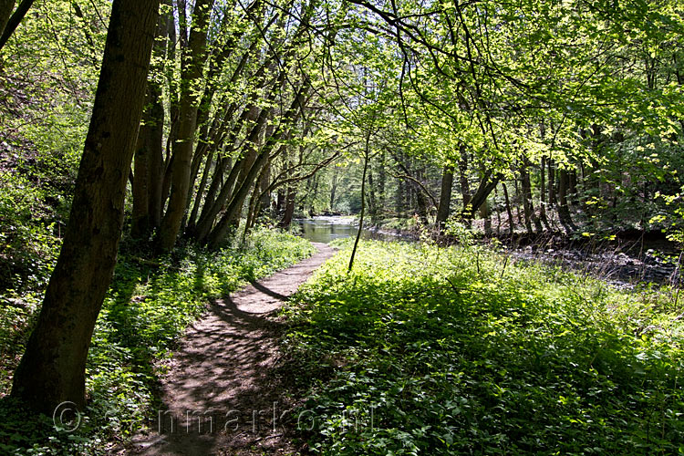 Nog een schitterend uitzicht over de Eltzbach vanaf het wandelpad Pyrmonter Felsensteig