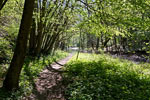 Nog een schitterend uitzicht over de Eltzbach vanaf het wandelpad Pyrmonter Felsensteig