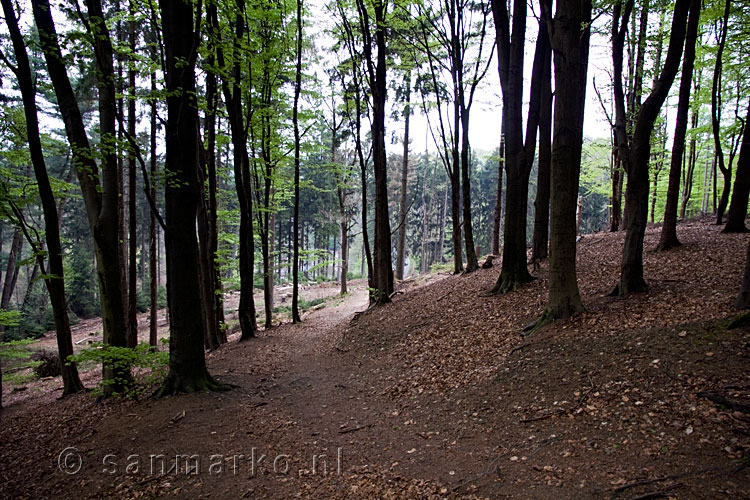 Het wandelpad onderweg naar Uelfebad