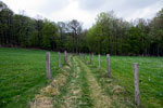 Terug de bossen in van het Bergische Land