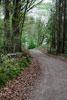 Door de bossen terug naar Radevormwald in Nordrhein-Westfalen