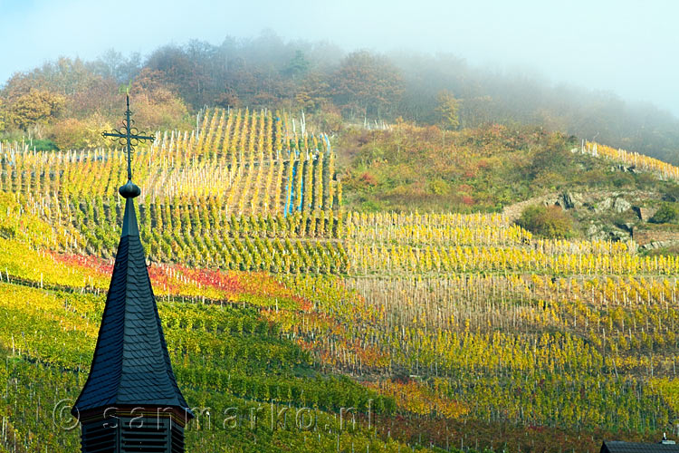 Op de mistige ochtend de eerste wijnvelden in herfstkleuren bij Altenahr