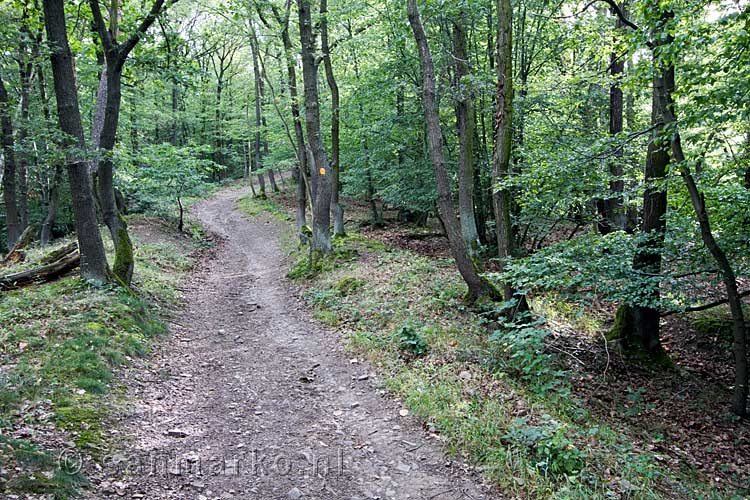 Het wandelpad aan het begin van onze wandeling door het Siebengebirge bij Bonn