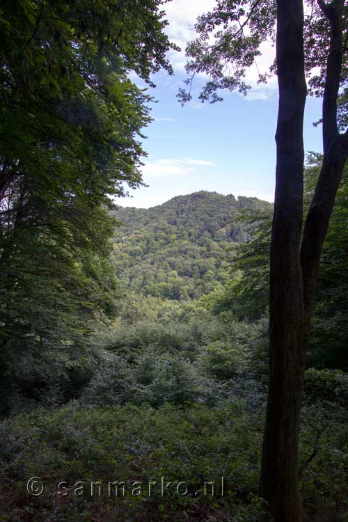 Vanaf het wandelpad een mooi uitzicht over het beboste Siebengebirge in Duitsland