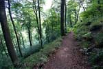 Eén van de mooie wandelpaden in het Siebengebirge bij Bonn in Duitsland