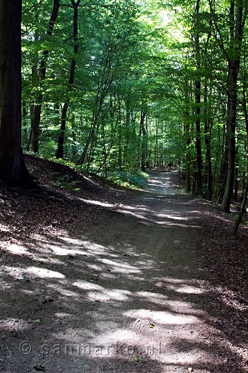 Het wandelpad richting Burg Drachenfels in het Siebengebirge in Duitsland