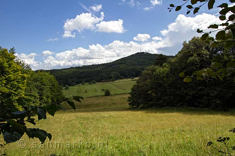 Afwisseling van bossen en open velden tijdens de wandeling door het Siebengebirge