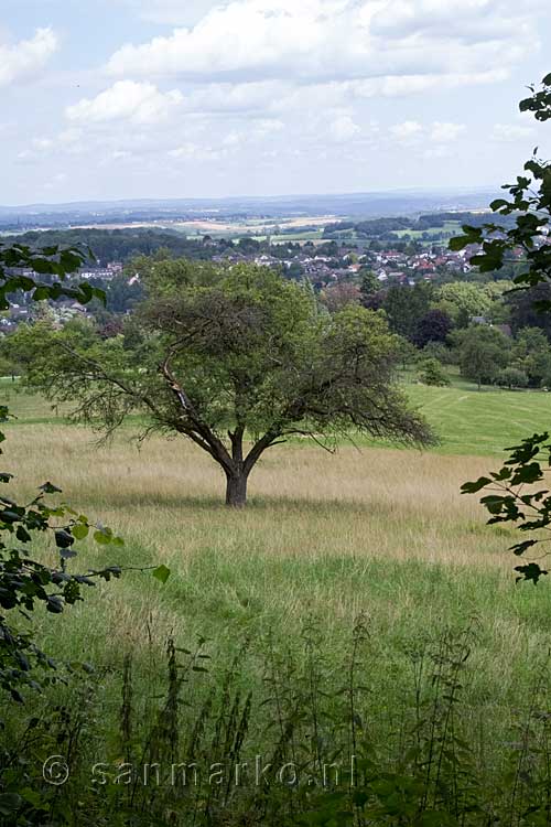 Uitzicht op Königswinter vanaf het wandelpad door het Siebengebirge in Duitsland