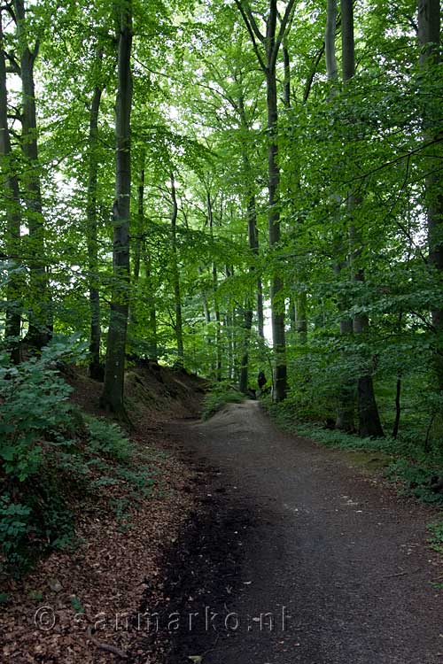 De mooie natuur en leuke wandelpaden van het Siebengebirge bij Bonn in Duitsland