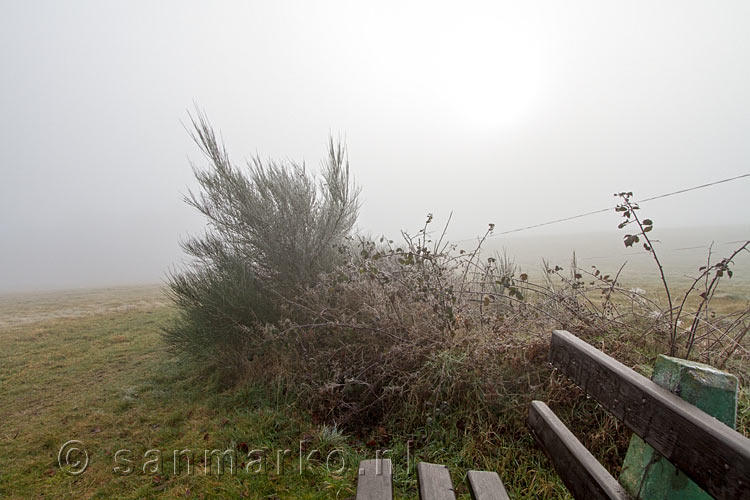 Uitzicht vanaf een bevroren bankje op de zon en de mist...