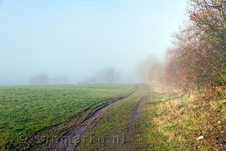 Bij Harscheid uitzicht over optrekkende mist boven de weilanden en het wandelpad