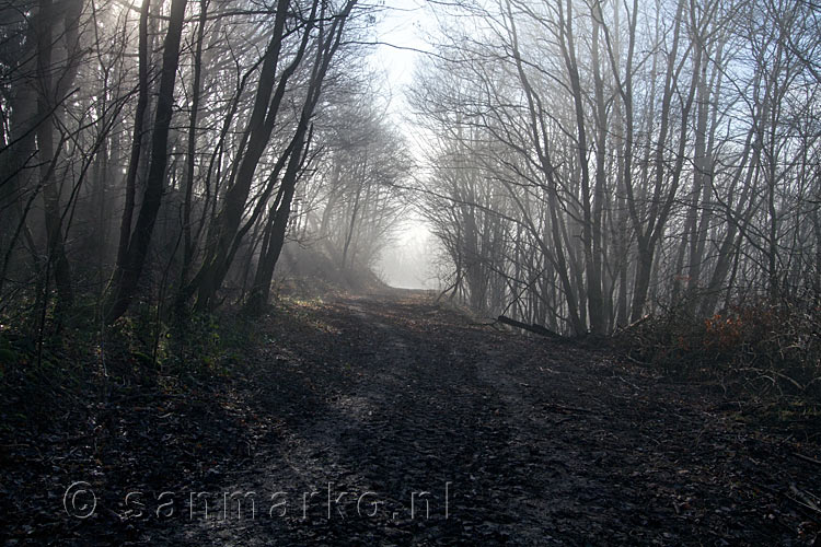 Wandelend door optrekken de mist in de bossen bij Schuld in het Ahrtal in Duitsland