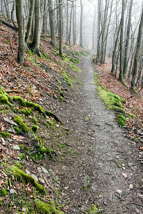 Het wandelpad vanaf Harscheid naar het uitzichtpunt over Schuld en de Ahr